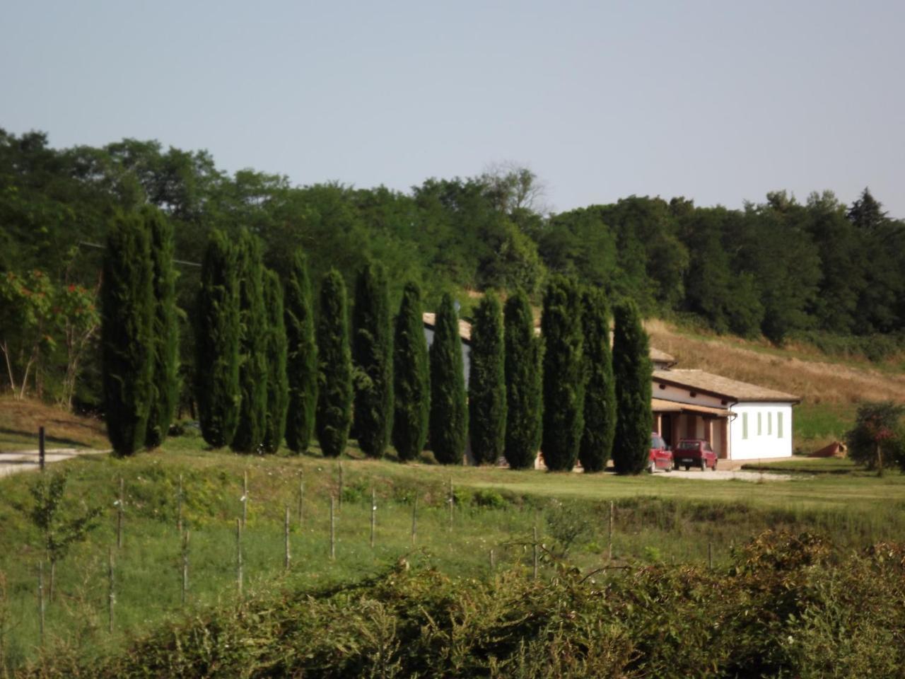 Hotel Casale Arcadia à Orvieto Extérieur photo